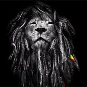 Meet your Posher, Dale